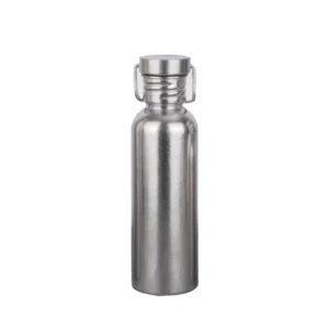750 ml single-wall titanium water bottle with carry loop cap in silver crystal finish on a light background.